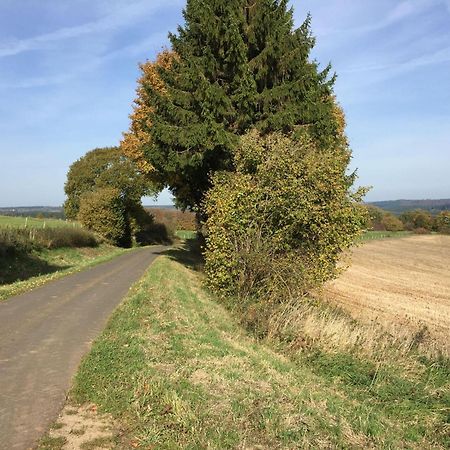 Ferienwohnung-Freuen Blankenheim  Bagian luar foto