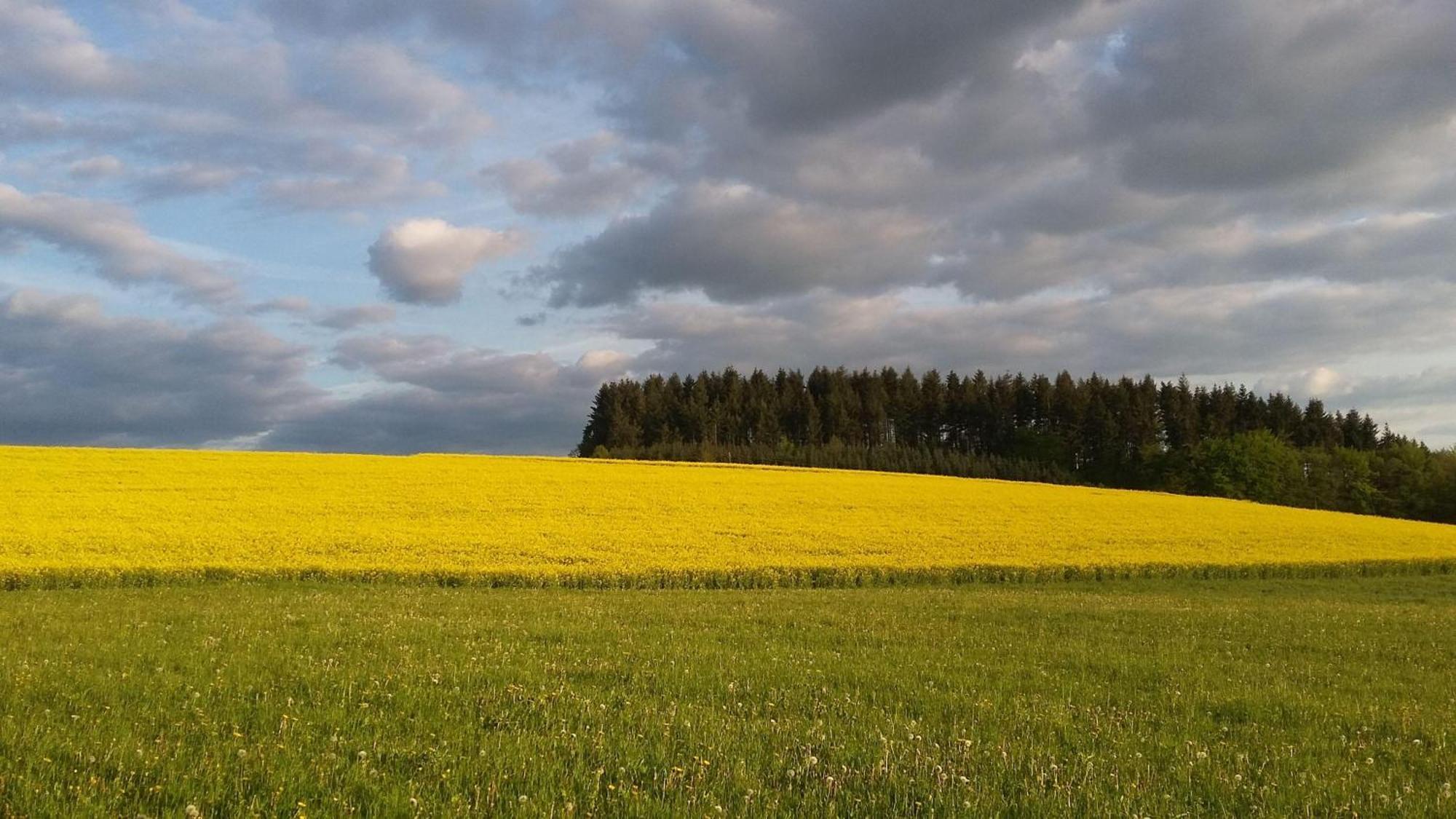 Ferienwohnung-Freuen Blankenheim  Bagian luar foto