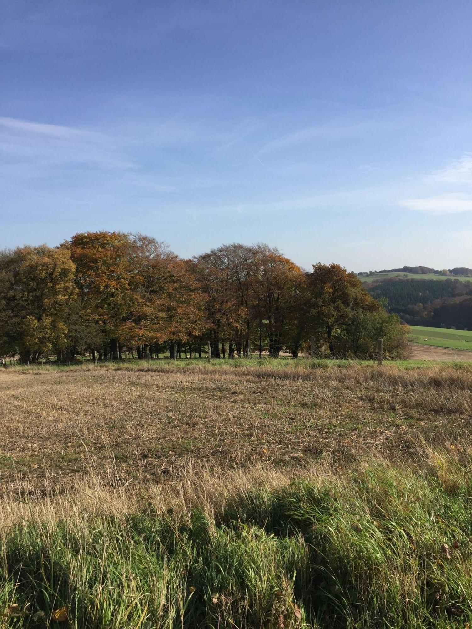 Ferienwohnung-Freuen Blankenheim  Bagian luar foto